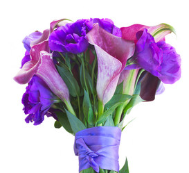 Similar image 8515210