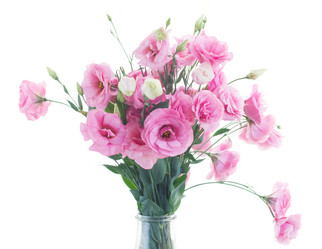 Similar image 8515312