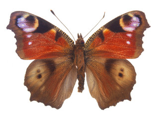 Similar image 8515315