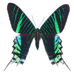 Similar image 8515317