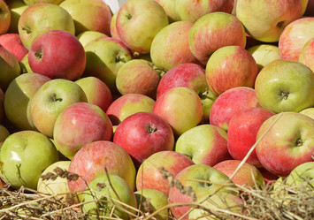 Similar image 8515824