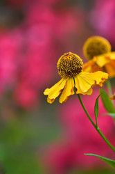 Similar image 8515825