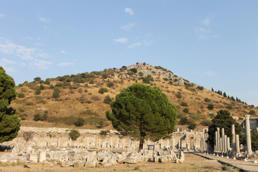 Similar image 8515902