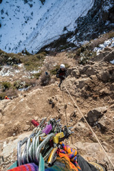 Similar image 8515990