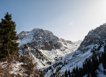 Similar image 8515993