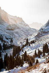 Similar image 8516048