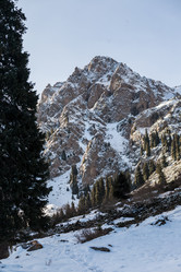 Similar image 8516050