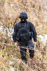 Similar image 8516191