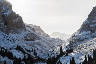 Similar image 8516195