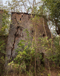 Similar image 8516205