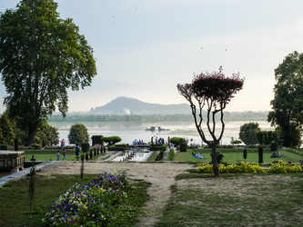 Similar image 8516206