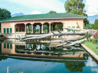 Similar image 8516233