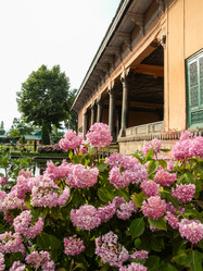 Similar image 8516235