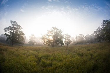 Similar image 8516268