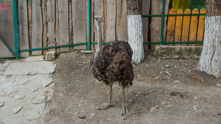 Similar image 8516596