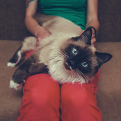 Similar image 8516660