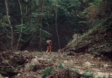 Similar image 8516709