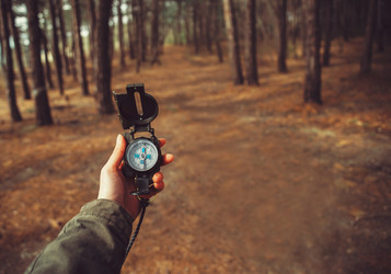 Similar image 8517193