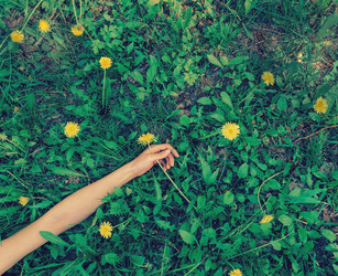 Similar image 8517314