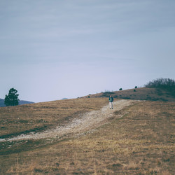 Similar image 8517476