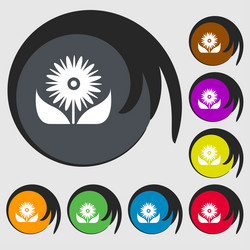 Similar image 8517793