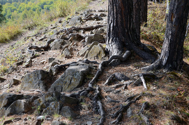 Similar image 8520004