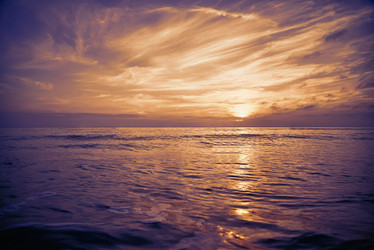 Similar image 8521064