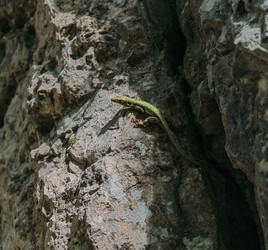 Similar image 8521073