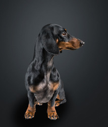 Similar image 8521077