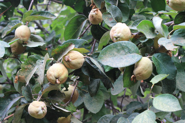 Similar image 8521151