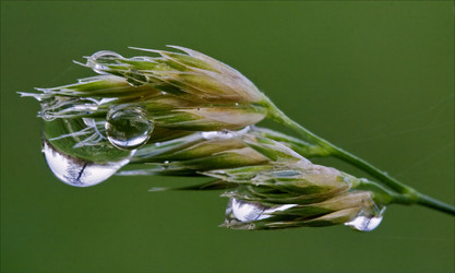 Similar image 8522419