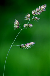 Similar image 8522421