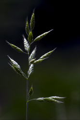 Similar image 8522423