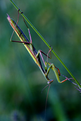 Similar image 8522425