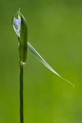 Similar image 8522570