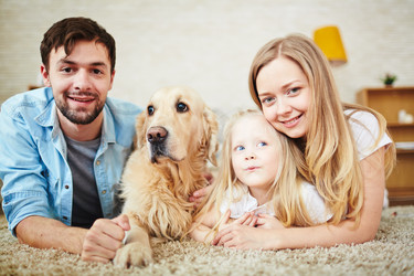 Similar image 8524556