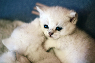 Similar image 8524736