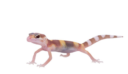 Similar image 8524740