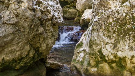 Similar image 8524753