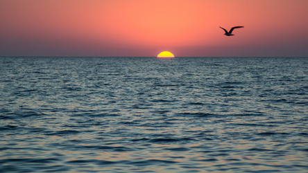 Similar image 8524754