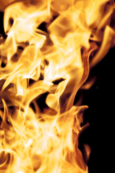 Similar image 8524785