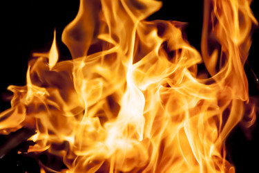 Similar image 8524786