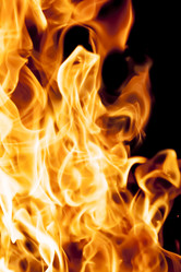 Similar image 8524788