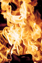 Similar image 8524789