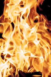 Similar image 8524790