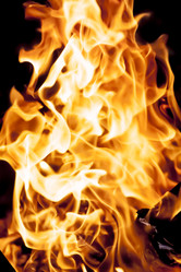 Similar image 8524791