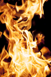 Similar image 8524792