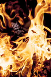 Similar image 8524794