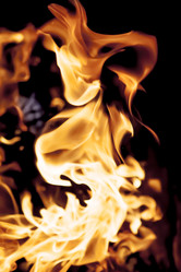 Similar image 8524795