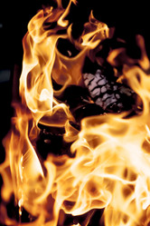 Similar image 8524796